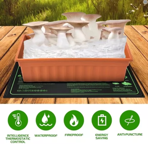 Mushroom Heat Mat and Temperature Controller