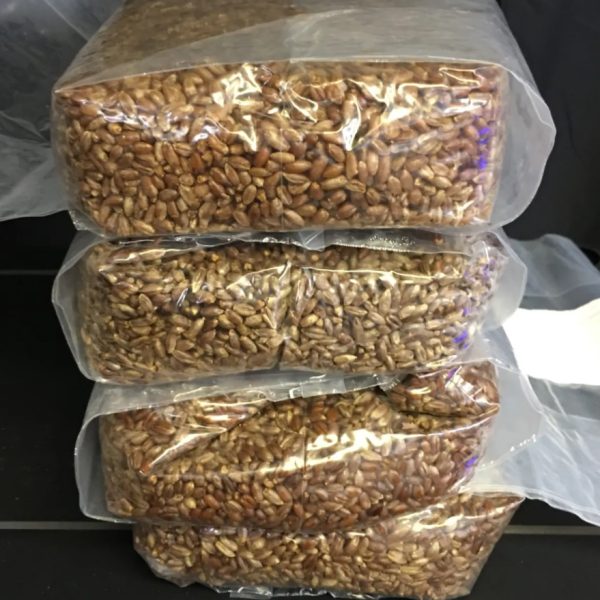 1.5KG Rye Spawn Bag