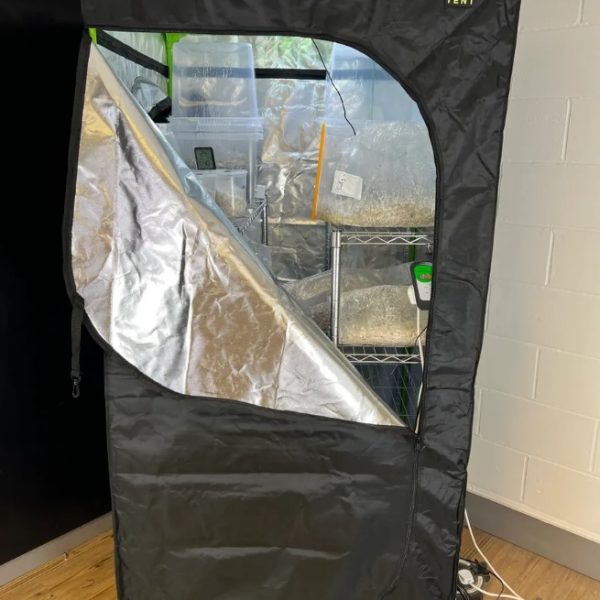 A picture of a magic mushroom grow tent.