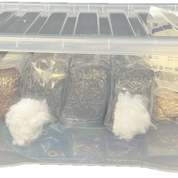 A picture showing a 45L monotub kit for sale containing the grain and substrate you need to grow.