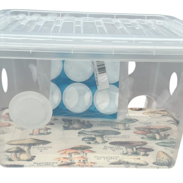 25L beginner monotub product image