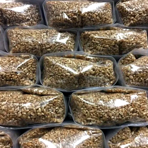 Nutri-Hydro Sterile Rye Grain