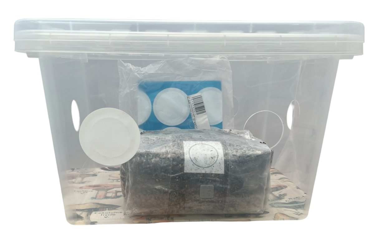 25L monotub kit product image