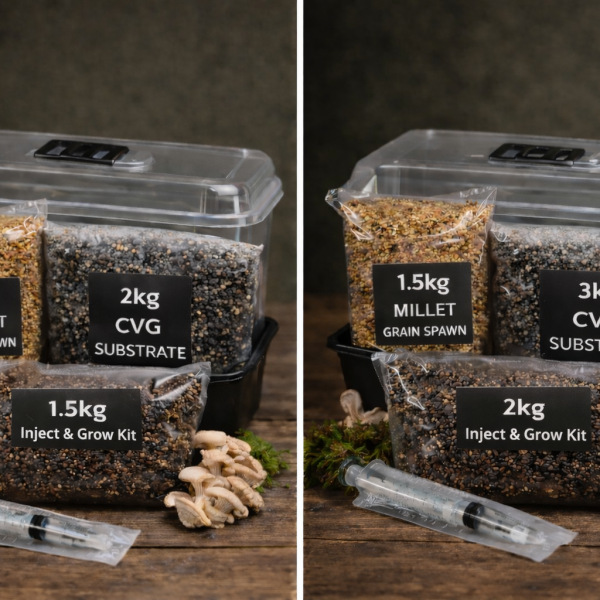 A product photo showing side-by-side products in a bundle with a regular size and large size bundle of a mushroom growing monotub, CVG, Millet Grain and Grow Kit in a Regular and Large size.