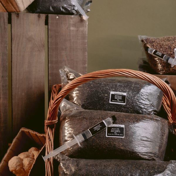 A product photo depicting some mushroom grow kits stacked together.