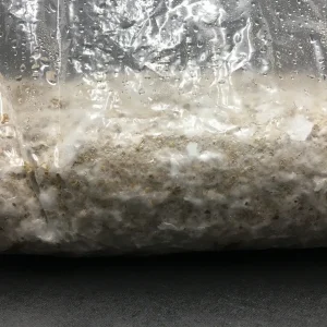 4lb IF 3